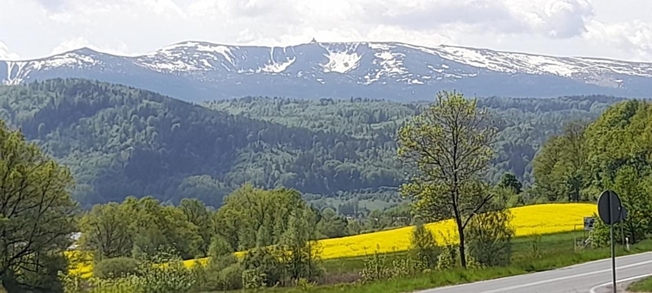 Skyview Apartment Mountain Views Jelenia Gora Dış mekan fotoğraf